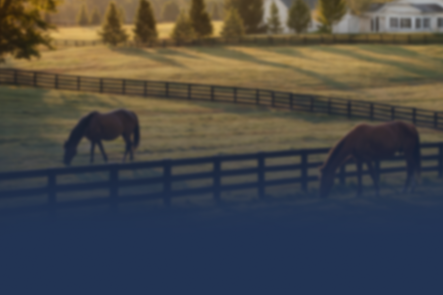 Equuinity